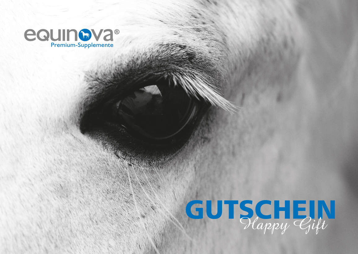 equinova® Gutschein zum Drucken